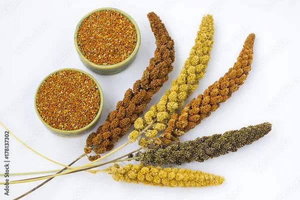Benefits of Millets for Health